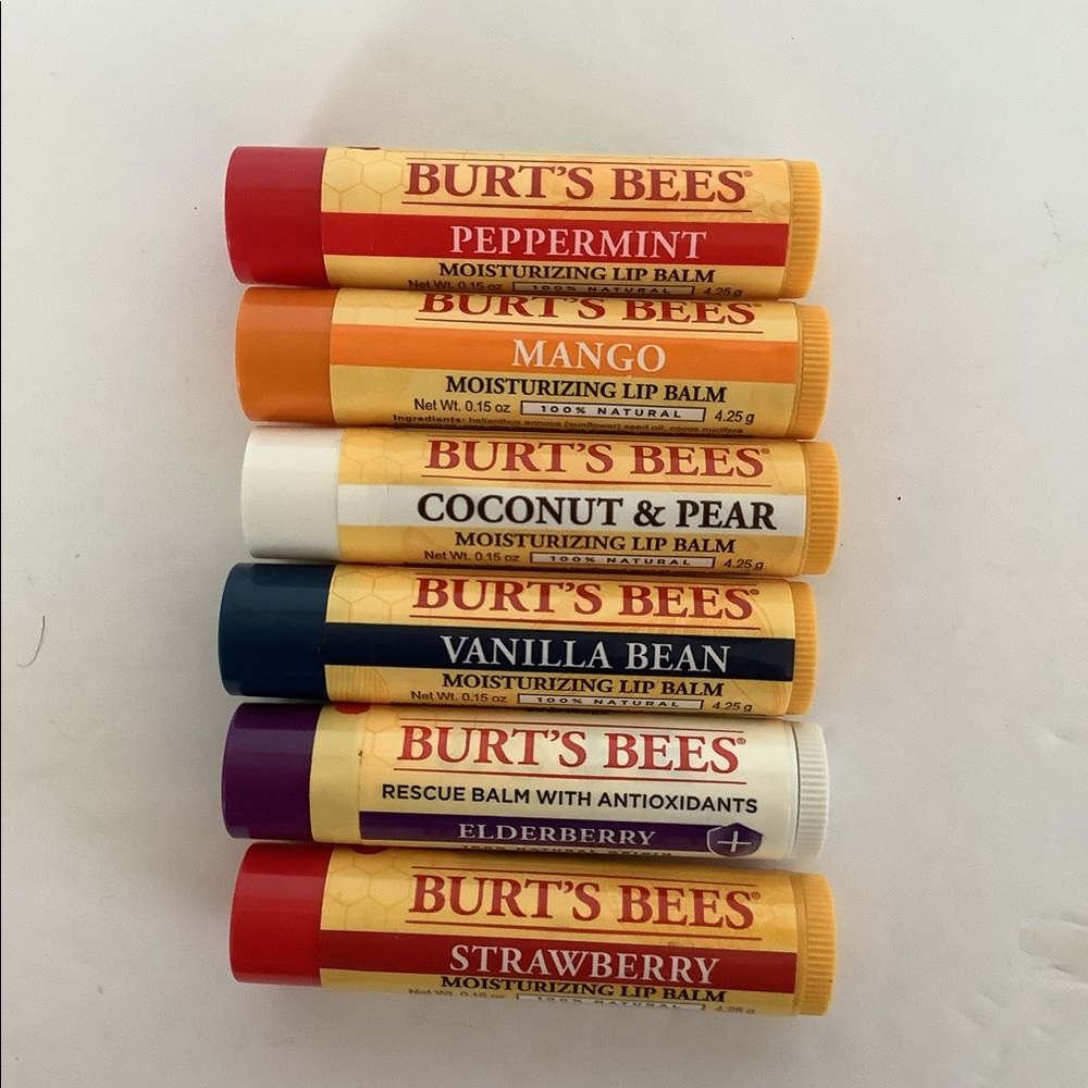 Burt’s bees lip moisturizer 6 pack bundle